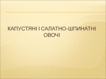 Капустяни салатношпинатны
