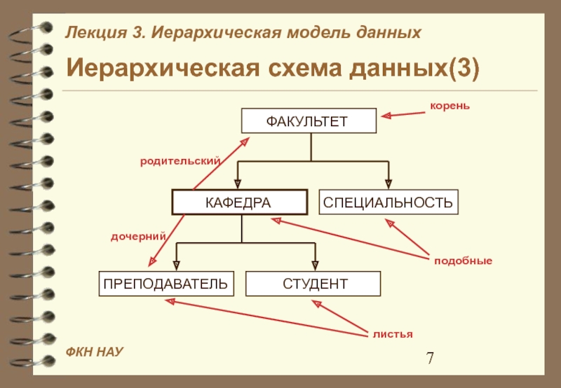 Иерархическая модель данных презентация