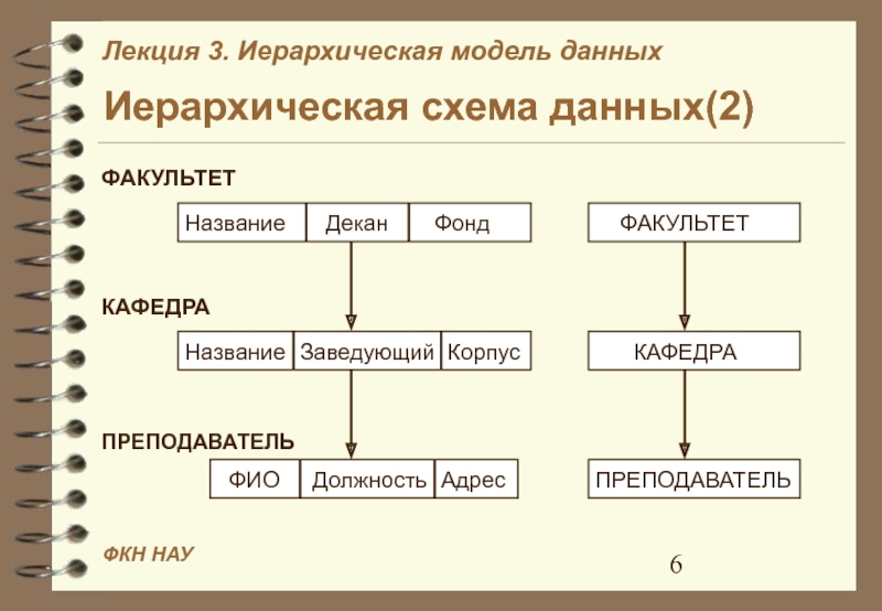 Иерархическая модель данных презентация