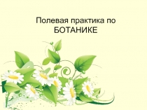 полевая практика по Ботанике 