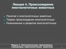 Происхождение многоклеточных животных