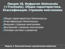 Общая характеристика Неполноусых
