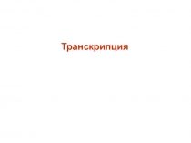 Транскрипция