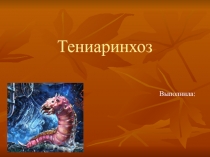Тениаринхоз 