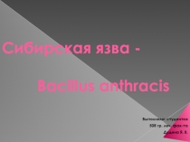 Сибирская язва