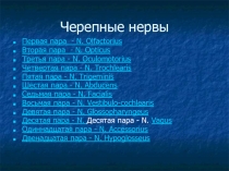 Черепные нервы 