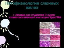 Слюна