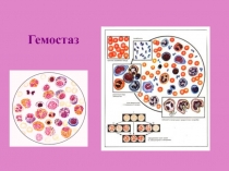 гемостаз