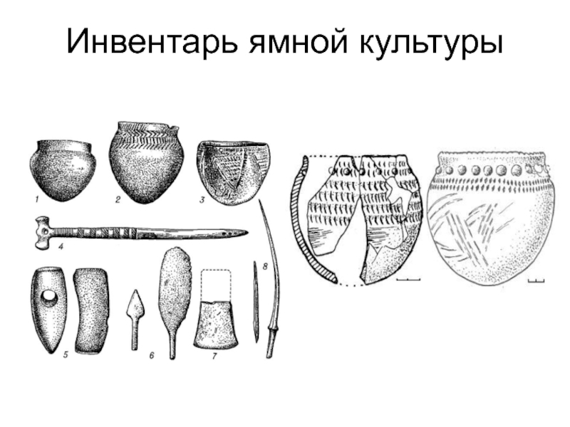 Археологическая культура это. Михайловское поселение ямной культуры. Орудия труда ямной культуры. Ямная культура бронзового века керамика. Древнеямная культура бронзового века.