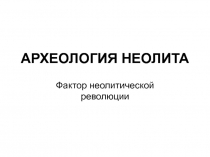 Археология неолита 