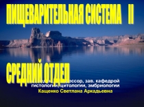 ПИЩЕВАРИТЕЛЬНАЯ СИСТЕМА