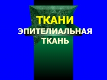 Эпителиальная ткань 