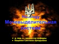 Мочевая система