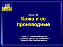 Кожа и её производные