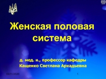 Женская половая система 