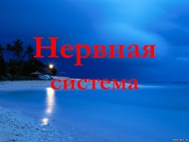 Нервная система