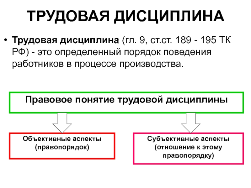 Трудовая дисциплина какая