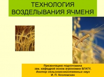 Технология возделывания ячменя 
