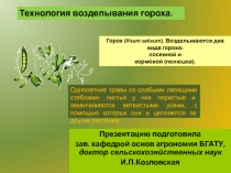 Технология возделывания гороха 