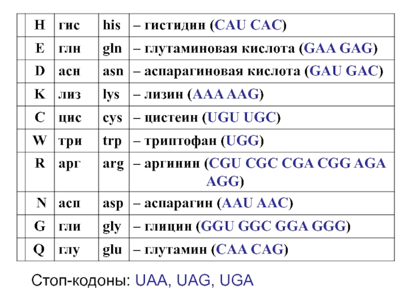 Стоп кодоны генетического. Стоп кодоны. УГА стоп кодон. Какие бывают стоп кодоны. Стоп-кодон это в биологии.