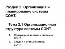 Организационная структура системы СОНТ
