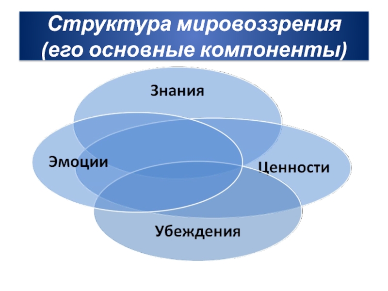 Ценностная картина мира это