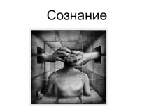 Сознание- это высшая форма психического отражения.ppt