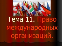  Право международных организаций