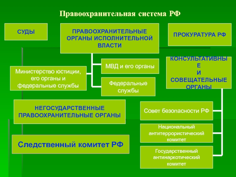 План исполнительная власть