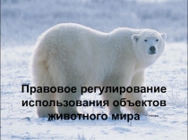 Основные принципы в области охраны и использования животного мира