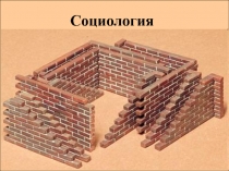 Социология