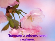 Принципы оформления слайдов