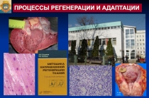 КПП.ppt