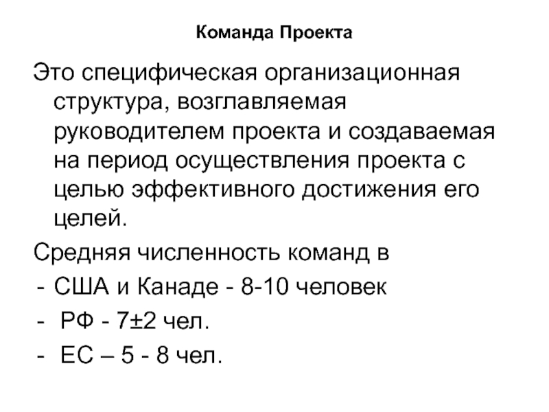 Специфическая организационная структура возглавляемая руководителем проекта