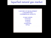 LNG Market 