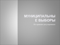 Муниципальные выборы