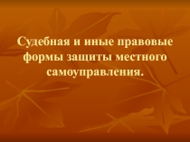 Судебная и иные правовые формы защиты местного самоуправления