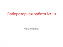 Лабораторная работа № 10