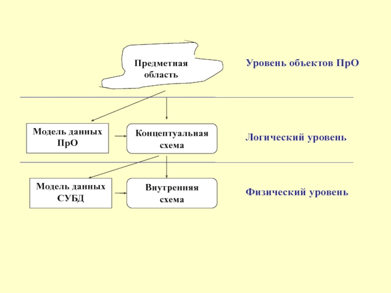 Уровни базы данных. Объекты предметной области это. Логика предметной области. Модель предметной области. Уровни моделирования предметной области.