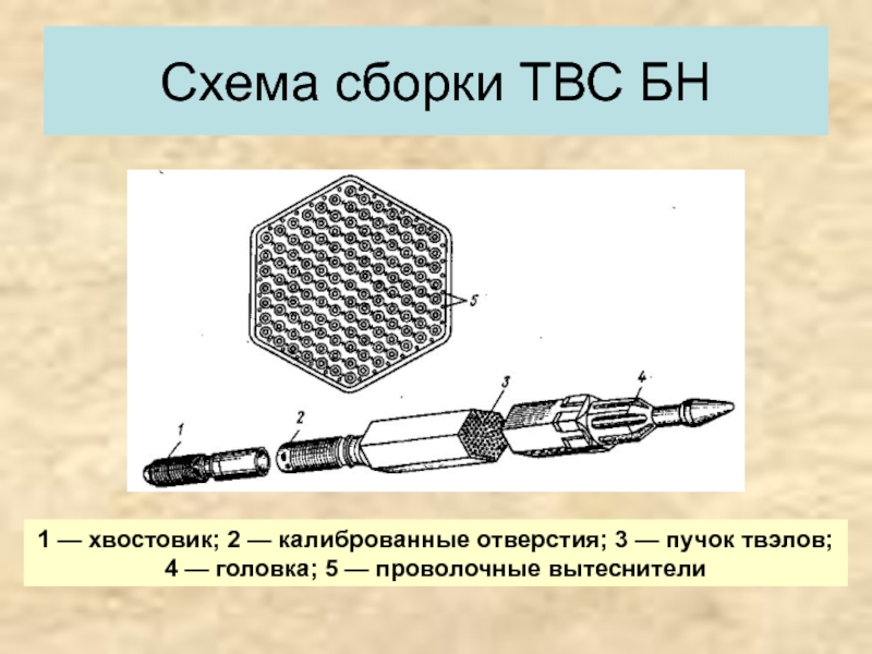 Из какого материала изготавливают оболочки твэлов. Головка и хвостовик ТВС. Хвостовик ТВС. БН 600 схема ТВС. Тепловыделяющая сборка схема.