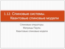 Спиновые системы. Квантовые спиновые модели Спиновые операторы. Матрицы Паули. Квантовые спиновые модели