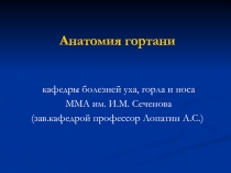 03-2. Методы исследования, клиническая анатомия и физиология гортани, наружного и среднего уха.ppt