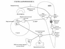 Антигипертензивные средства