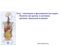 Анатомия человека