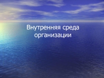 Внутренняя среда организации