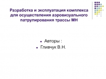 Разработка и эксплуатация комплекса для осуществления аэровизуального патрулирования трассы МН 