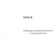 Сифилис