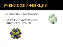 инф1-2.ppt