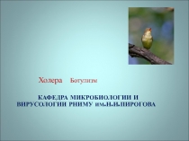 Холера Ботулизм