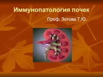 лекция  почки ип2010 - правка1.ppt